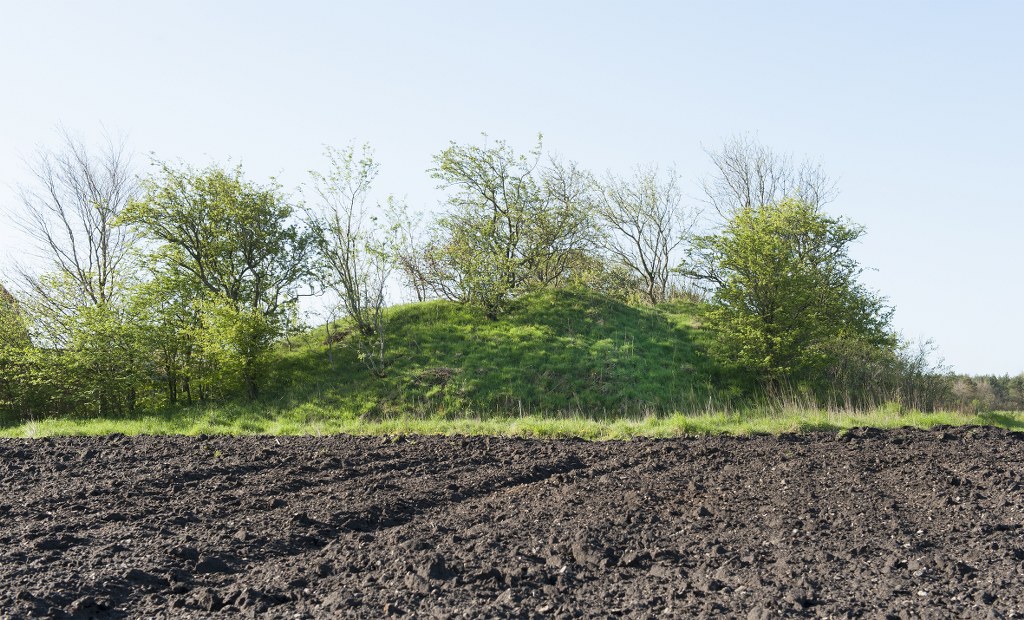 Sortehøj ved Plougstrup. Foto: Torben Meyer.