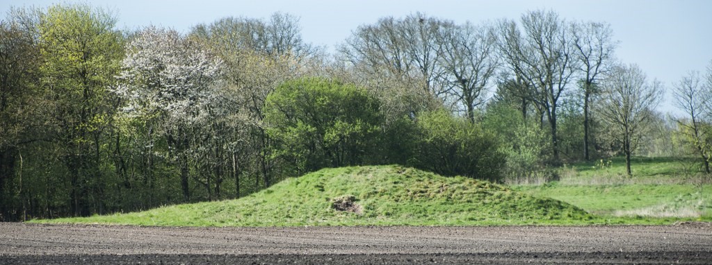 Plovshøj at Plougstrup. 